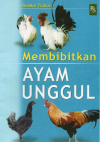 Membibitkan Ayam Unggul