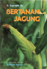 Bertanam Jagung