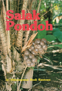 Salak Pondoh