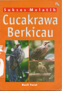 Sukses Melatih Cucakrawa Berkicau