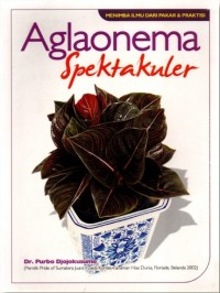 Aglaonema Spektakuler