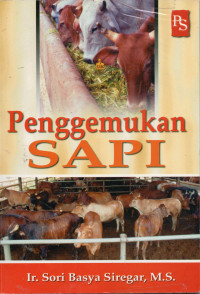 Penggemukan Sapi