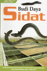 Budi Daya Sidat